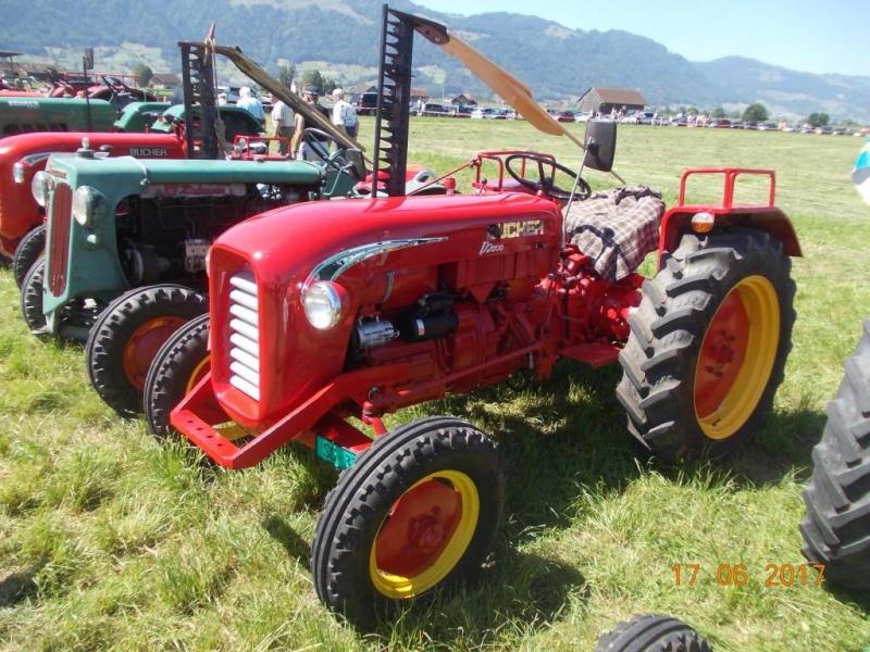 Traktor BUCHER D2000